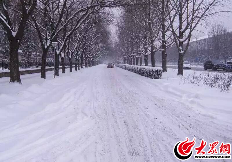 1、2015年11月24日，臨沂迎來了羊年的第一場雪，大雪的突降雖然給市民的出行帶來了許多不便，但是絲毫沒有影響到人們賞雪的心情。（大眾網(wǎng)記者 滿健 攝）.jpg