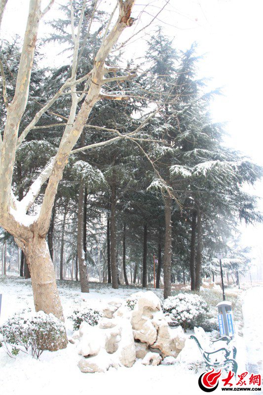 5、久沒有這樣舒暢過，張開雙臂擁抱初雪的清晨，心中一片澄明，搖一搖，雪花亂顫。滿眼的世界——極亮、極明、極干凈。（大眾網(wǎng)記者 滿健 攝）.jpg