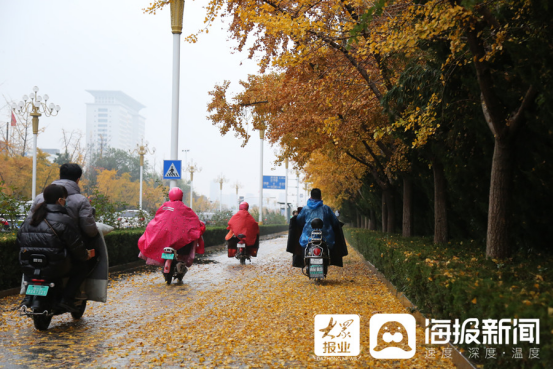 立冬后第一場雨！臨沂美爆了（組圖）103.png